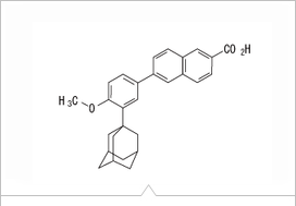 �A�_�p�����̍\����